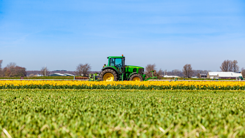 Agropecuária Grama Roxa Ltda