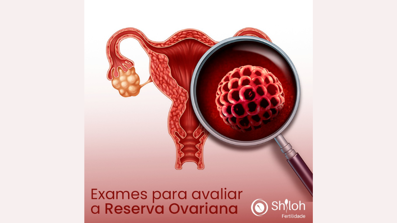 O impacto do estresse oxidativo na fertilidade é analisado por Oluwatosin Tolulope Ajidahun, destacando riscos e cuidados.