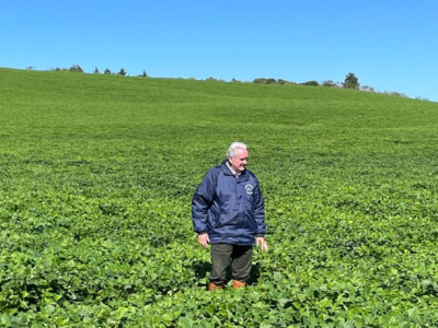 Aldo Vendramin analisa como tecnologia, sustentabilidade e eficiência logística consolidam o Brasil no mercado global.