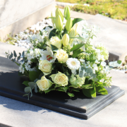 Tiago Schietti explica como se preparar para a fiscalização no setor funerário.