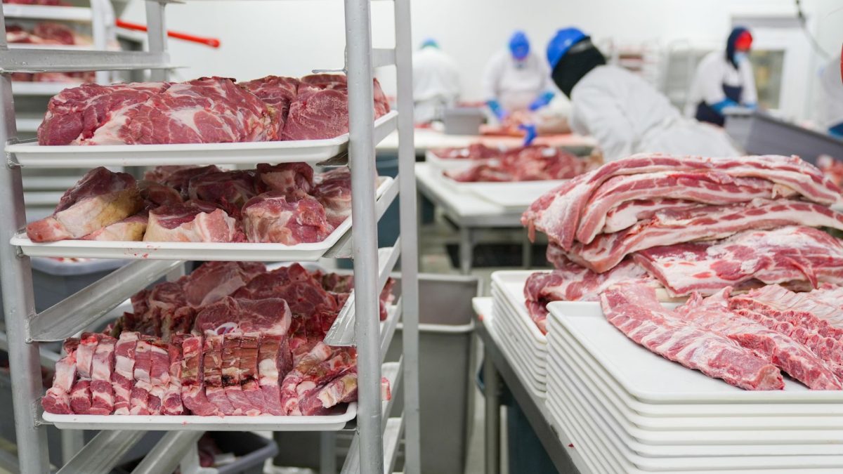 Trabalhadores manuseiam cortes de carne em uma unidade industrial de processamento de alimentos.