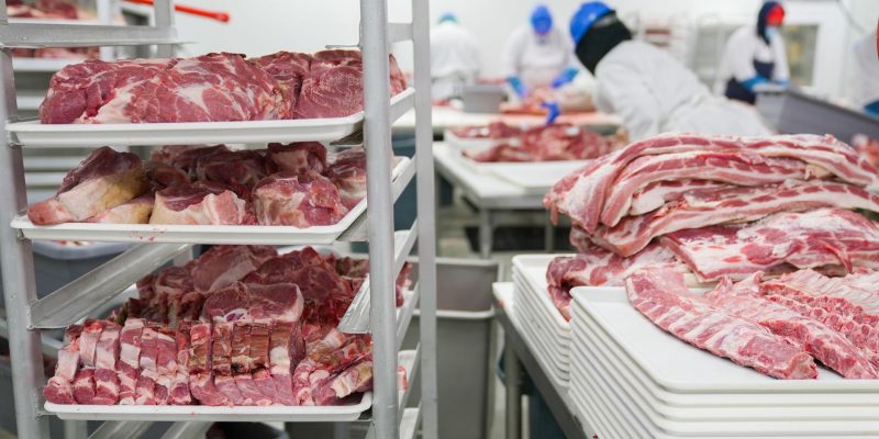 Funcionários trabalham no processamento de cortes de carne em uma instalação industrial de alimentos.