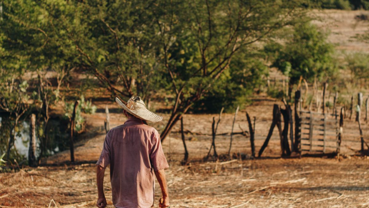 Agricultor caminha por uma área rural de solo seco no Nordeste do Brasil.