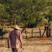 Agricultor caminha por uma área rural de solo seco no Nordeste do Brasil.