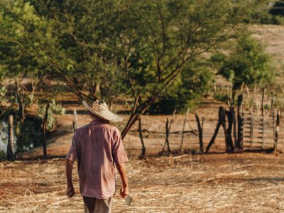 Agricultor caminha por uma área rural de solo seco no Nordeste do Brasil.