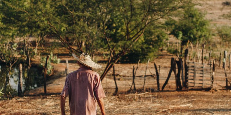 Agricultor caminha por uma área rural de solo seco no Nordeste do Brasil.