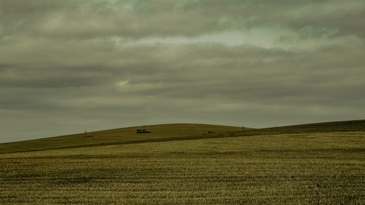 Vasta área de cultivo no Brasil sob céu nublado.