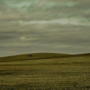 Vasta área de cultivo no Brasil sob céu nublado.
