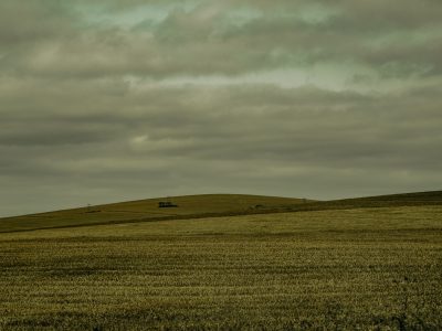 Vasta área de cultivo no Brasil sob céu nublado.