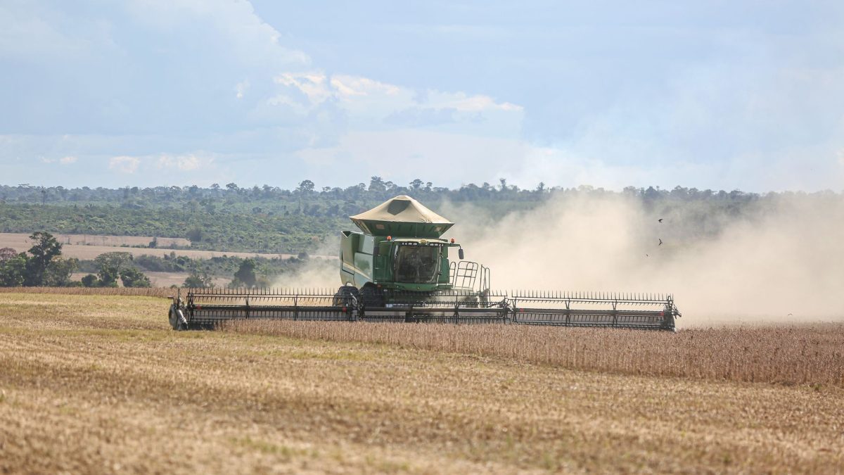 Colheitadeira trabalha em uma extensa plantação de soja no Brasil.