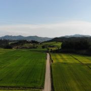 Vista aérea de campos agrícolas verdes e uma estrada de terra em Massaranduba, Santa Catarina.