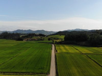 Vista aérea de campos agrícolas verdes e uma estrada de terra em Massaranduba, Santa Catarina.